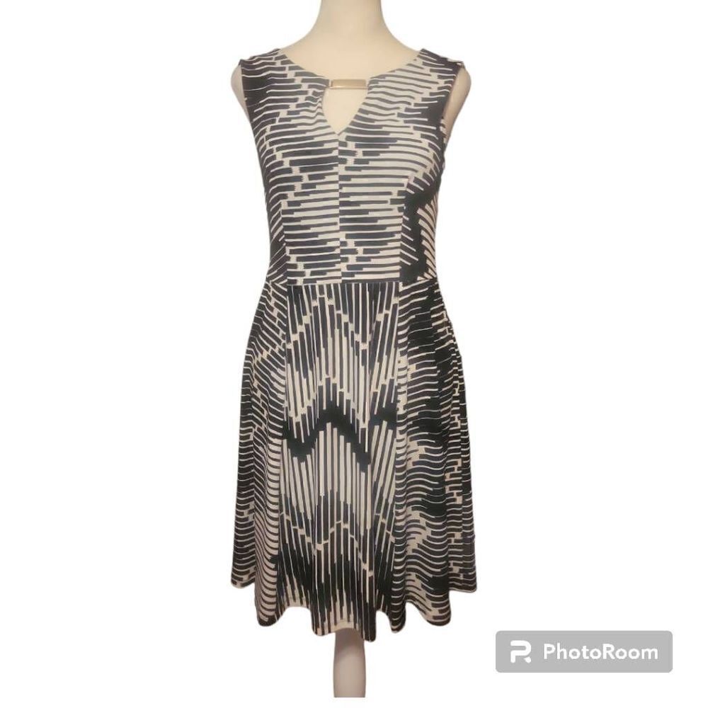 Connected/ Petite 6P/ Black-White/ Chevron Print Skater Stretch Dress